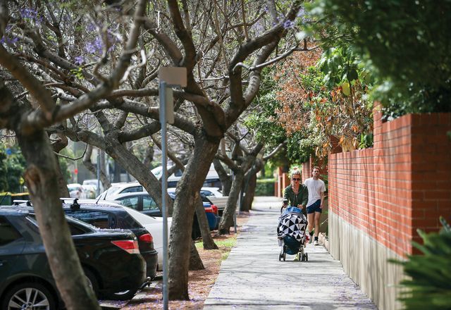 Sustainable streets – Tree diversity and resilience planning through our street tree master plan and species list by City of Sydney
