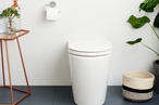 New Caroma Cleanflush toilets