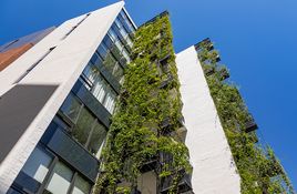 Thriving façade mounted planter boxes and green walls