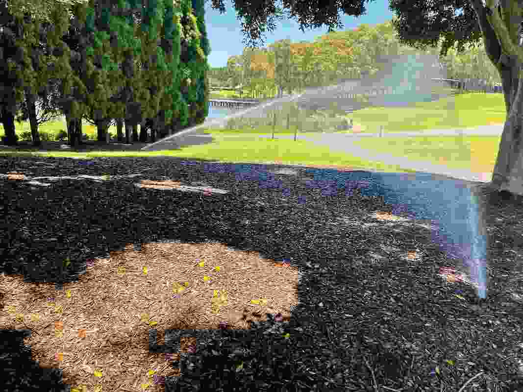 At Sydney’s Bicentennial Park, soil sensors feed information to a digital twin model, and machine learning adjusts irrigation levels while monitoring the park’s cooling potential.
