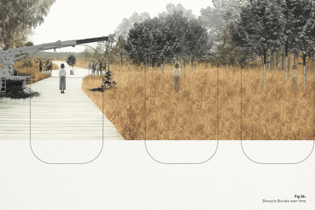 2024 Landscape Architecture Australia Student Prize (Winner ...