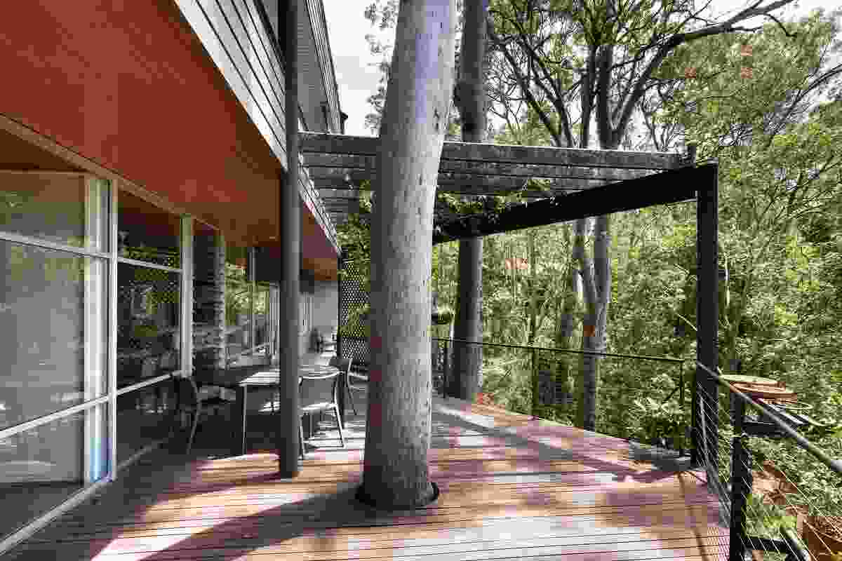 An irregular-shaped deck billowing from the building positions occupants among the trees.