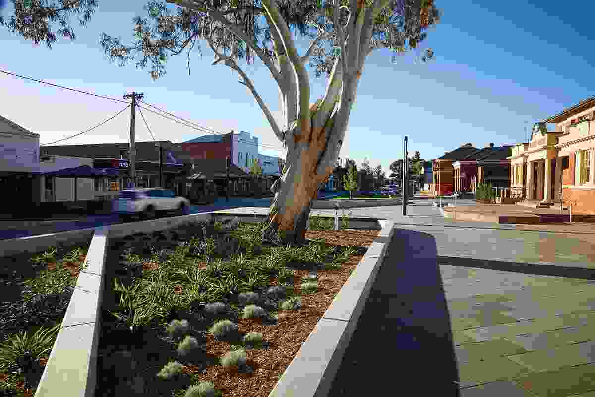 While the existing hundred-year-old manna gum (Eucalyptus viminalis) was originally retained as an integral design element, it was removed in February 2019 on the advice of an arborist. Plans in August 2019 were to replace it with two juvenile spotted gums (Corymbia maculata).