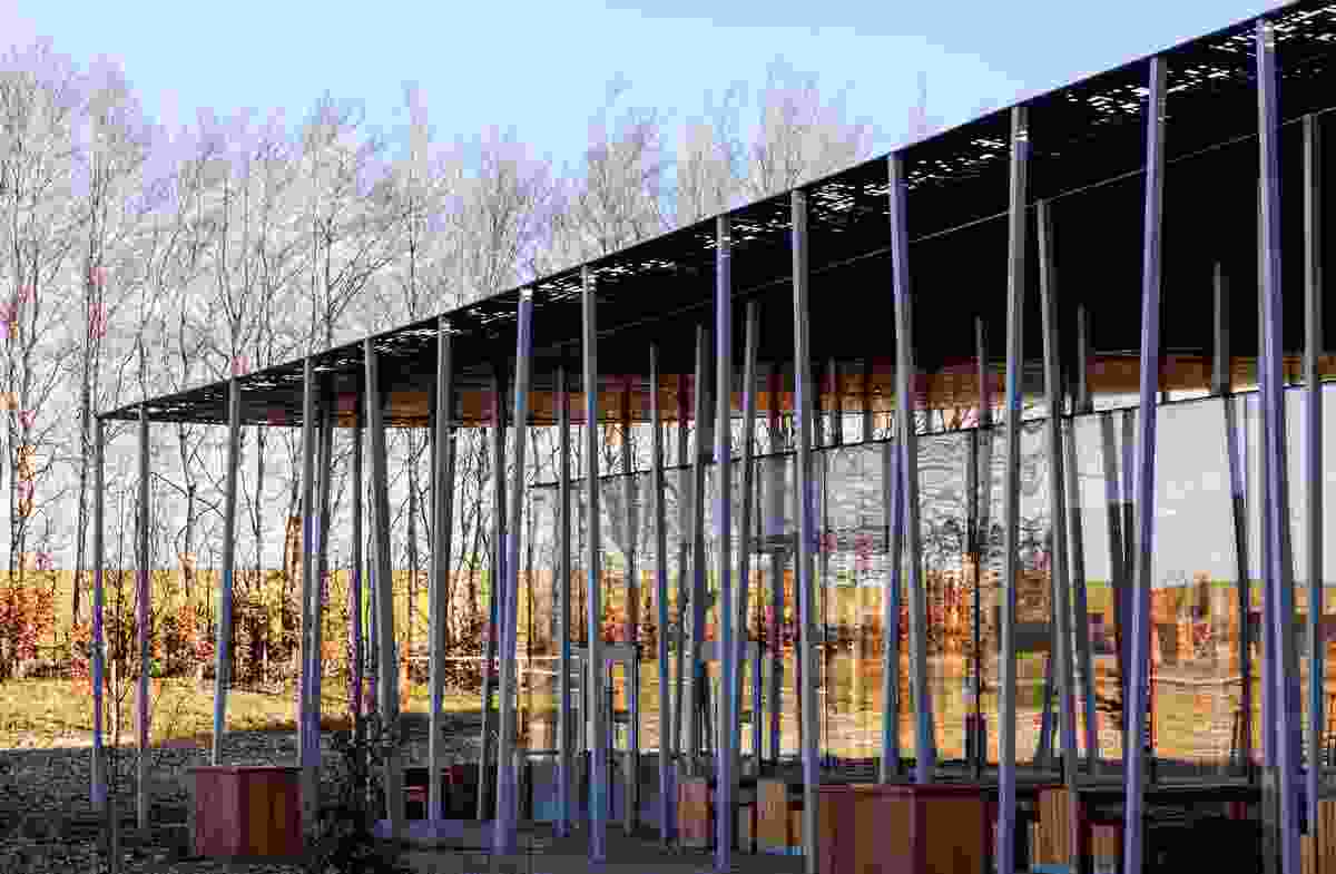 Two boxes – one clad in glass, the other in timber – stretch beneath a thin, undulating canopy.