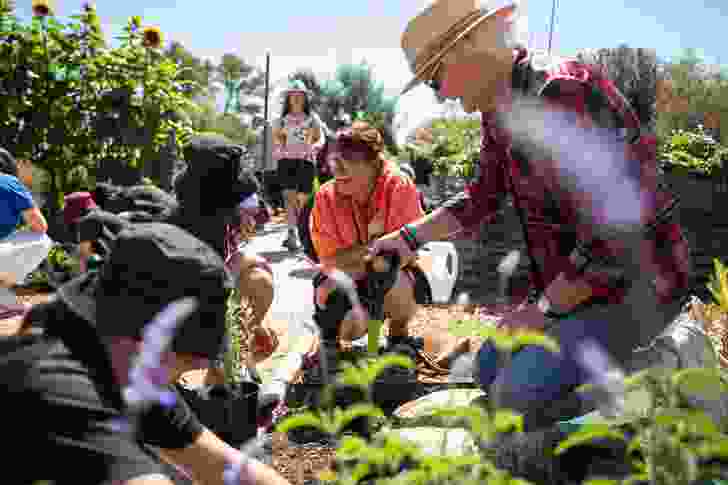 Winners revealed: 2025 National Landscape Architecture Awards ...