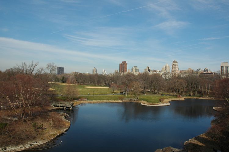 Narratives of place: New York’s Highline and Central Park | ArchitectureAu