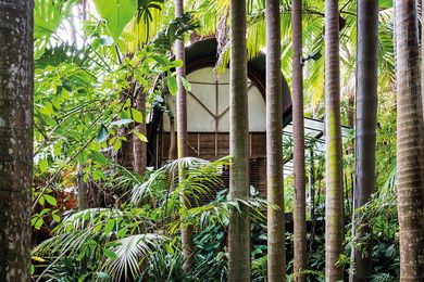 Richard Leplastrier’s Palm Garden House nestles seamlessly into the shelter of surrounding trees.