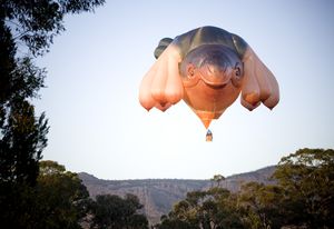 Patricia Piccinini, Skywhale 2013, nylon, polyester, nomex, hyperlast, cable, 340 x 230 x 200 cm, commissioned for The Centenary of Canberra.