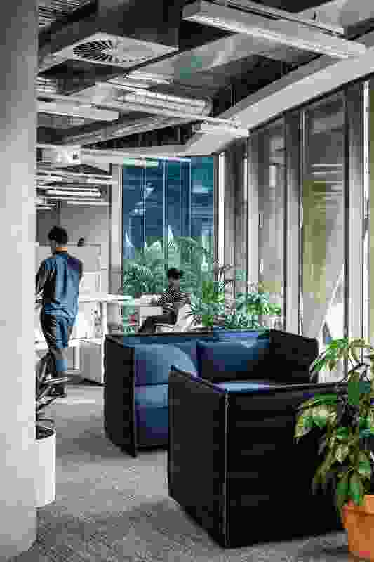 The programmed space is divided into two types: active, collaborative spaces and solo-oriented, quiet spaces.