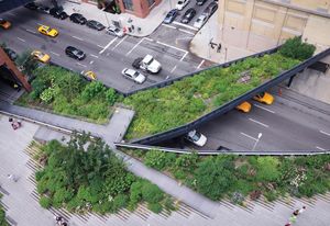 Due to their elevated nature, the High Line gardens must endure tough conditions, freezing more quickly and heating up more rapidly than other New York gardens.