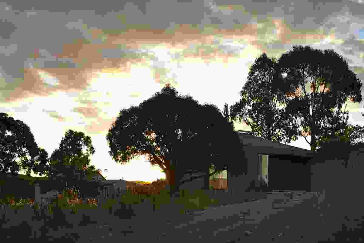 Goldfields by Johanna Craven Goldfields by Johanna Craven