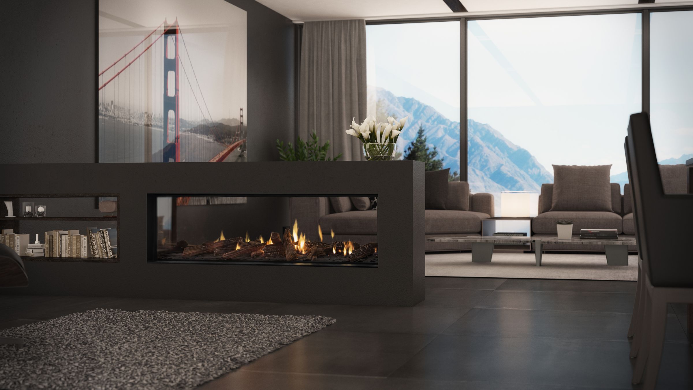 DS gas fireplace series by Escea | ArchitectureAu