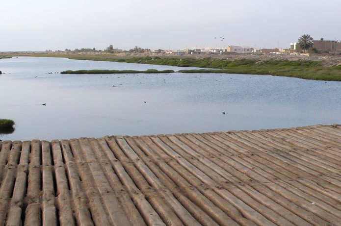 Pisco Waterfront: The lagoon here was Pisco Sin Fronteras first environmental project –cleaning up a portion of the original coastal lagoons. In the background is row after row of earthquake debris littering the beachfront.