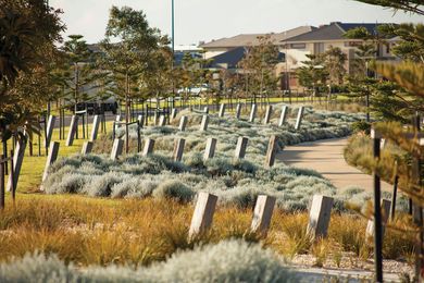 Planting is layered and massed, using indigenous species.