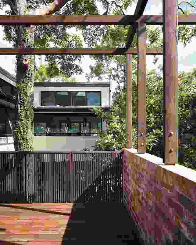 St Lucia House 2 (2013): The plan wraps around a treasured eucalypt.