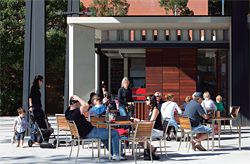 View south to the cafe in the belvedere at ground level. Image: Brett Boardman