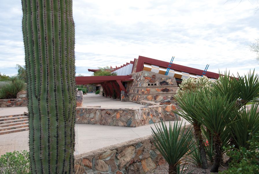 The designed plantings at Taliesin West are not only drought-tolerant, but largely drought-proof, meaning they can survive on almost no water.