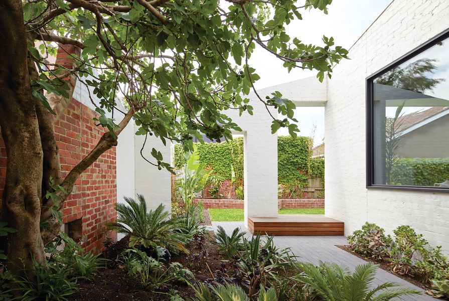 An outdoor room to the west of the living area is reserved purely to celebrate a fig tree.