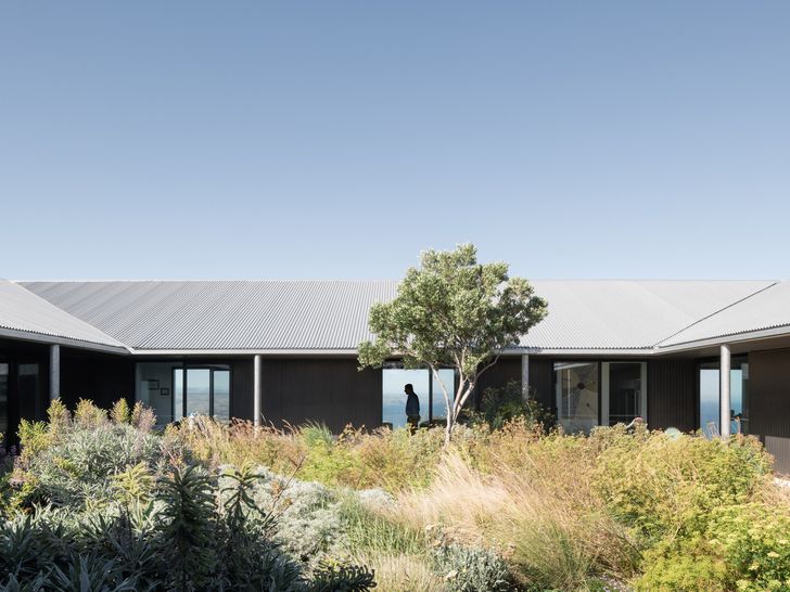 The courtyard features perennial planting, culinary herbs and an olive tree relocated from the property.