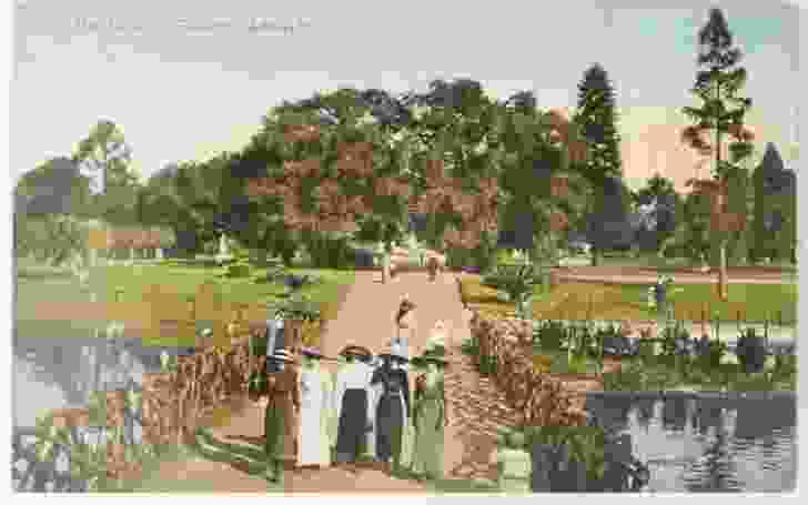 In the Botanic Gardens, Adelaide. 
Image courtesy of the Board of the Botanic Gardens and State Herbarium from a postcard reproduced in Tony Kanellos’ 2014 book Out of the past.