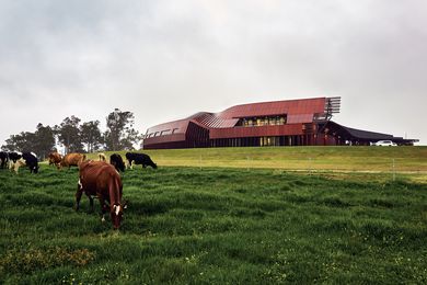 Programmatic shifts are expressed externally, signalling the transition from barn to shed and alluding to the collection of buildings that typically characterize farm settings.