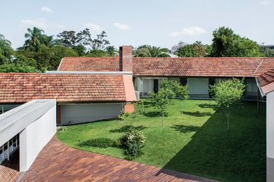 The garden at the Owen Architecture-designed Rosalie House in Brisbane, designed by Dan Young Landscape Architect, eschews typical responses such as screening and bordering.