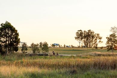 The design of Bungarribee Park celebrates abstracted notions of bush and overtly constructed ecologies.