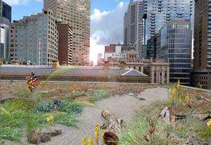 Artist's impression of the rooftop space planned for 1 Treasury Place.