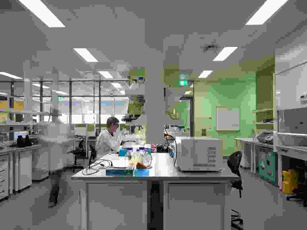 JCU Queensland Tropical Health Alliance Research Laboratory by SKM-S2F.
