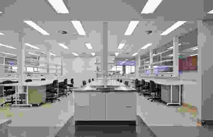 Laboratories are positioned at the centre of the floor plate, with glazed walls admitting light and allowing views into the rooms.