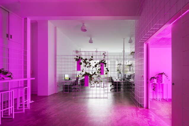 Squint/Opera by Sibling.