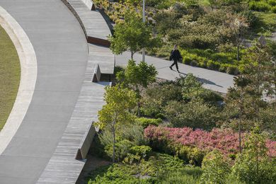 Monash University Eastern Precinct Landscape by TCL (Taylor Cullity Lethlean)