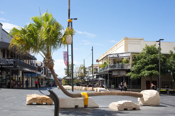 Seats made from living cabbage tree palms form part of the 'Illawarra Placed Landscape' artwork in the Wollongong Crown Street Mall.