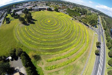 The largest and most “designed” of the 2014 plantings took the form of a 2.4-kilometre-long spiral on the site of the former Moe public hospital.