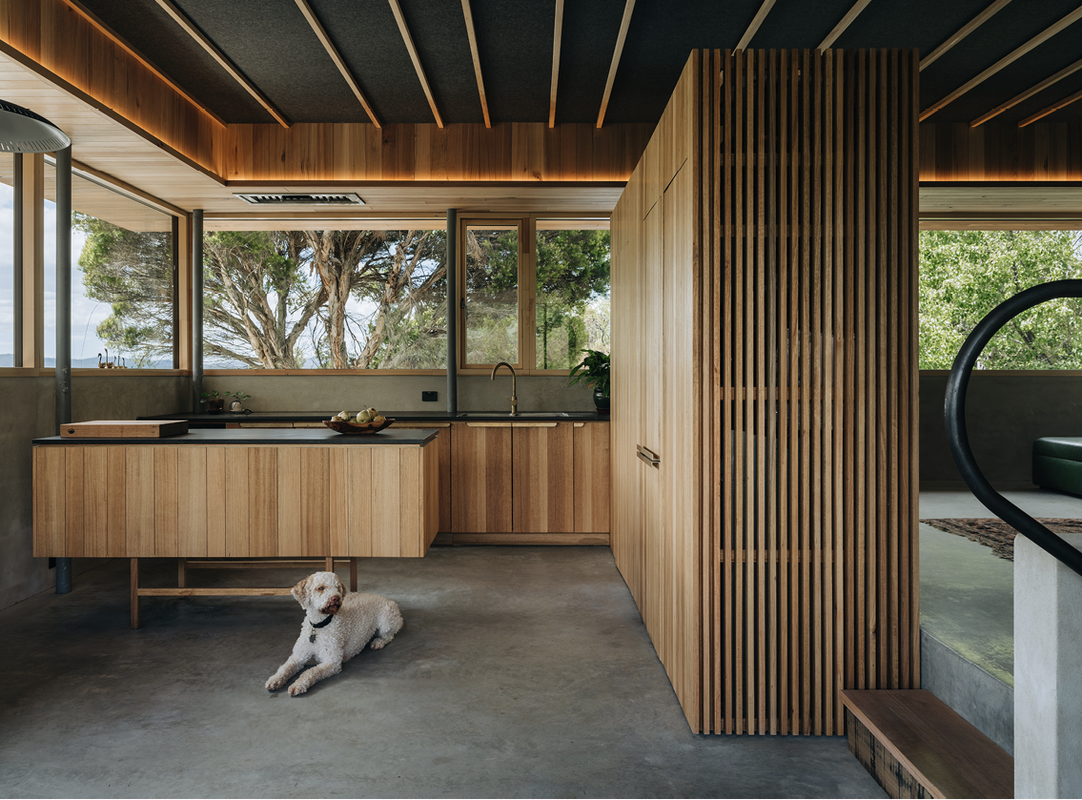 Timber, concrete and rendered brick walls contribute to a sense of retreat and enclosure.