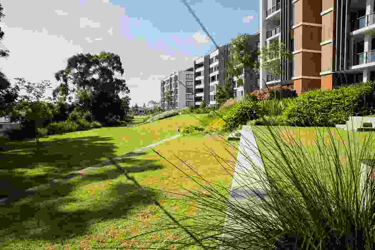 Putney Hill Development by Environmental Partnership won a Landscape Architecture Award in the Urban Design category of the 2021 AILA NSW Landscape Architecture Awards
