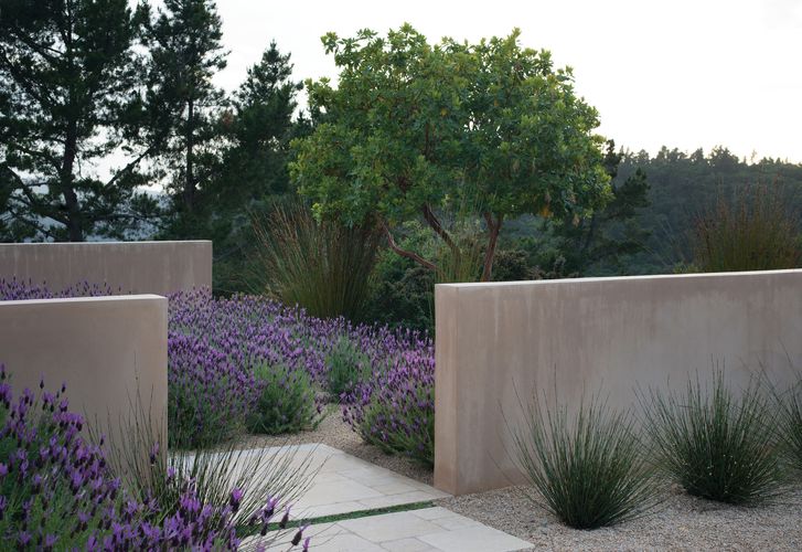 California dreaming: The gardens of Bernard Trainor | Landscape Australia