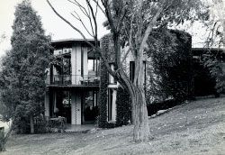 Staff Club, University of Queensland, 1963. Image: James Birrell.