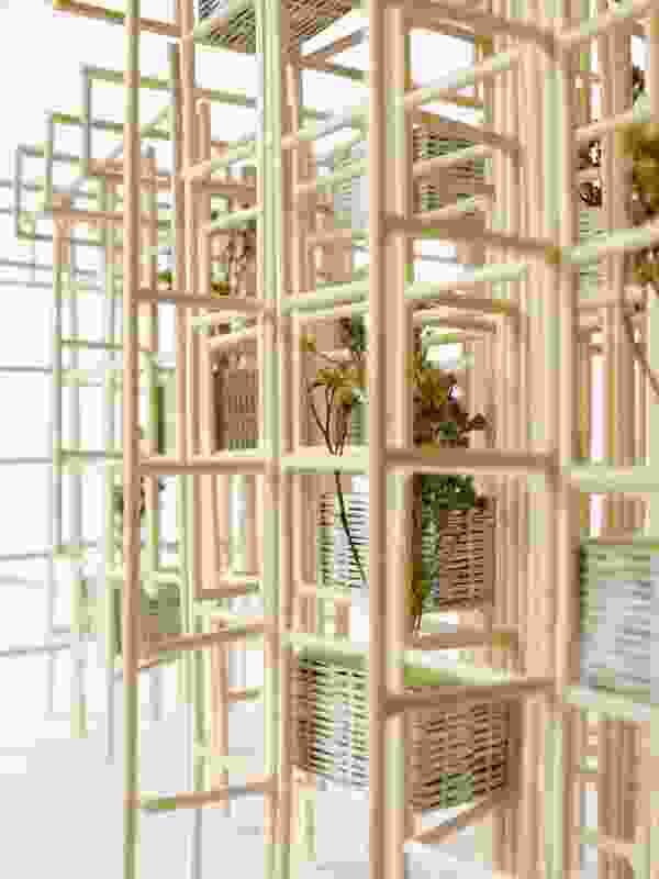 A scale model of the pavilion highlights how vegetation is incorporated into the bamboo grid in a contained and curated manner.