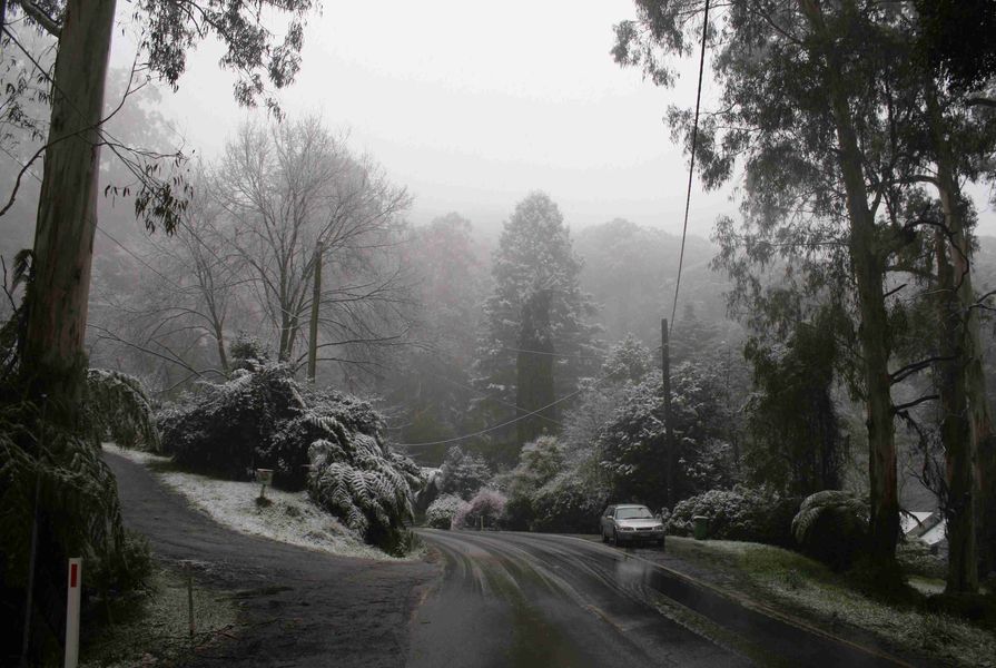 Snow in Ferny Creek, Victoria, Australia, August 10, 2008. At approximately 350 m elevation. by David Arfon Jones, licensed under  CC BY-SA 3.0 