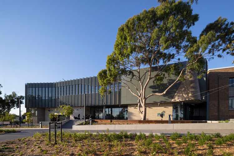 Ivanhoe Library and Cultural Hub by Croxon Ramsay | ArchitectureAU