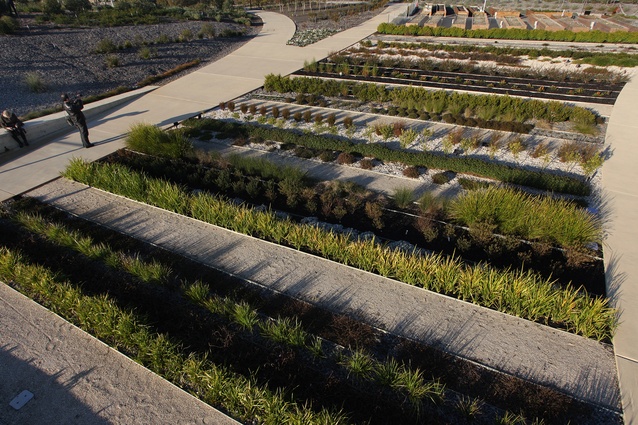 The Australian Garden Completion by Taylor Cullity Lethlean with Paul Thompson.