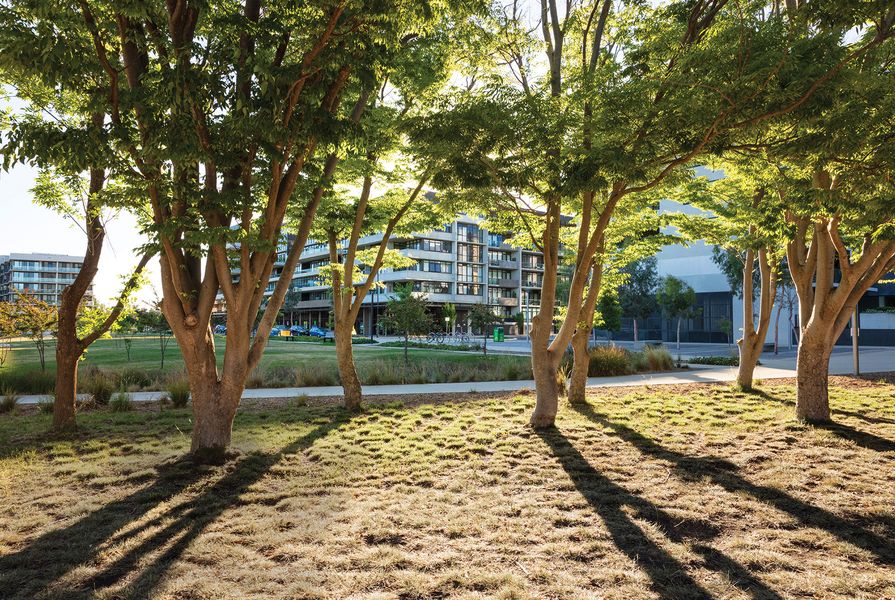Hassett Park is set within 
the public domain framework for the Campbell 5 precinct, part of a redevelopment of inner-city sites along Canberra’s Constitution Avenue.