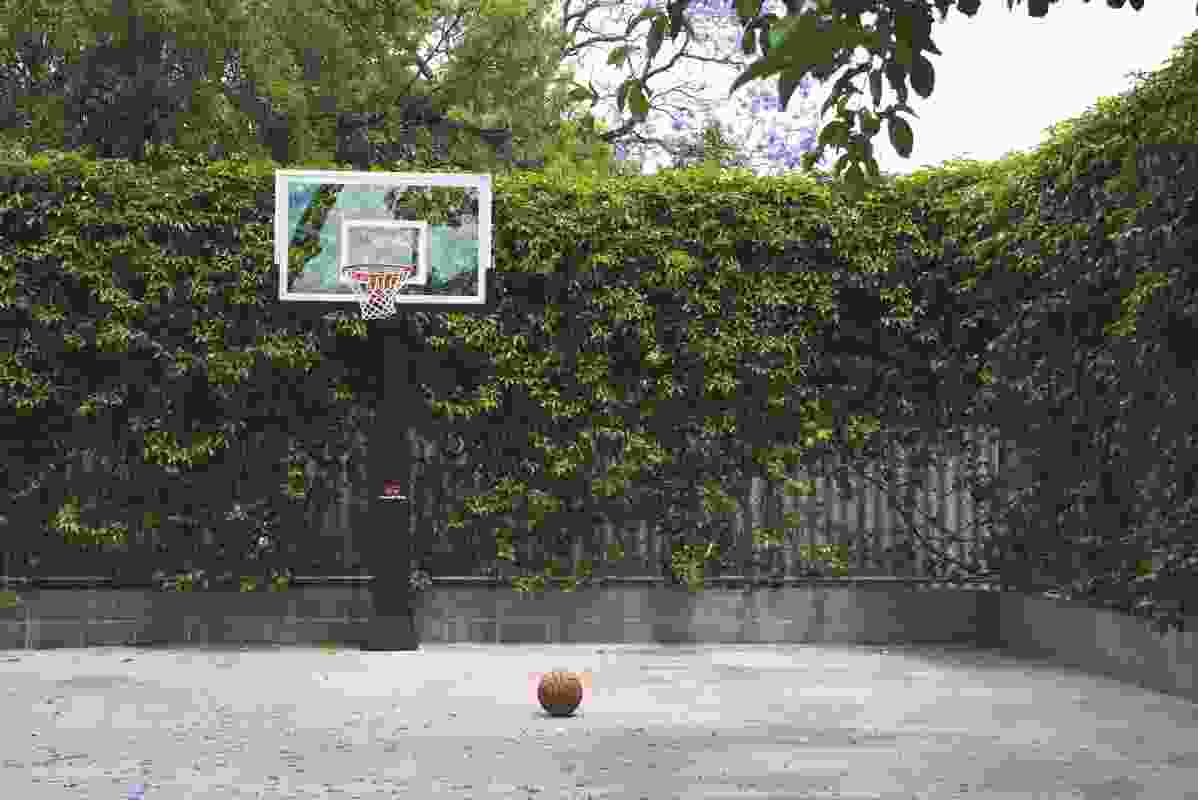 Sheltered by a jacaranda, the basketball court offers a vine-wrapped platform for suburban delight.