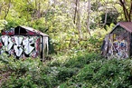 Urban Wildscapes