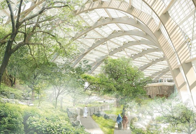 The Oman Botanic Garden, designed by Arup with Grimshaw and Haley Sharpe Design celebrates the country’s botanical diversity.