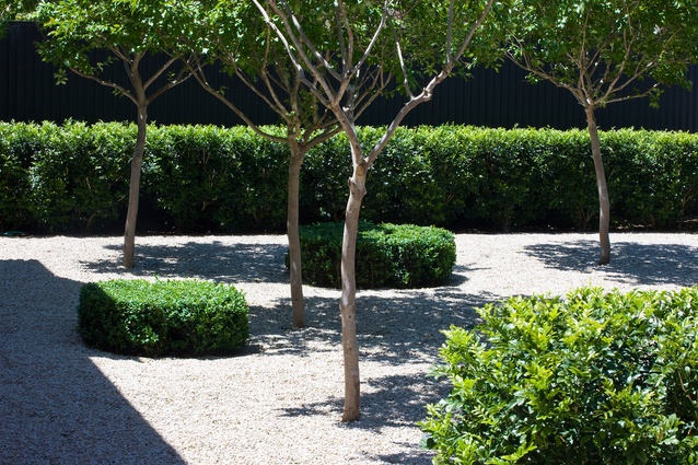 North Adelaide Villa Garden by Taylor Cullity Lethlean.