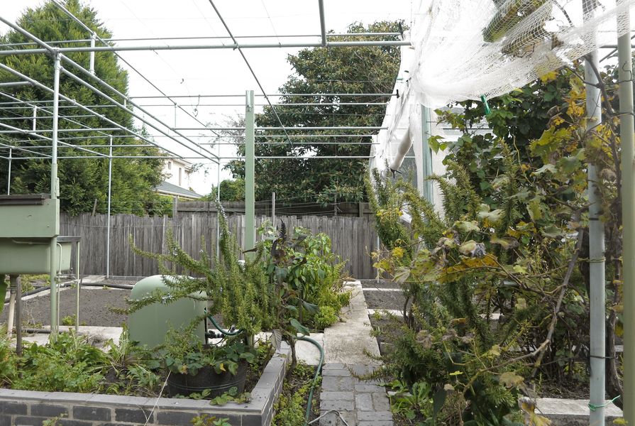 An extensive pergola-like system of poles with netting over the cultivated beds keeps possums and birds at bay. A free-standing sink in the garden is used to wash vegetables.
