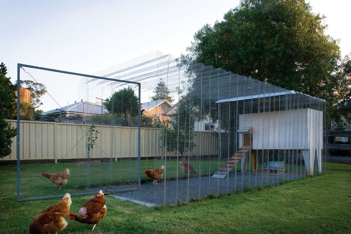 Chicken Coop Architectureau