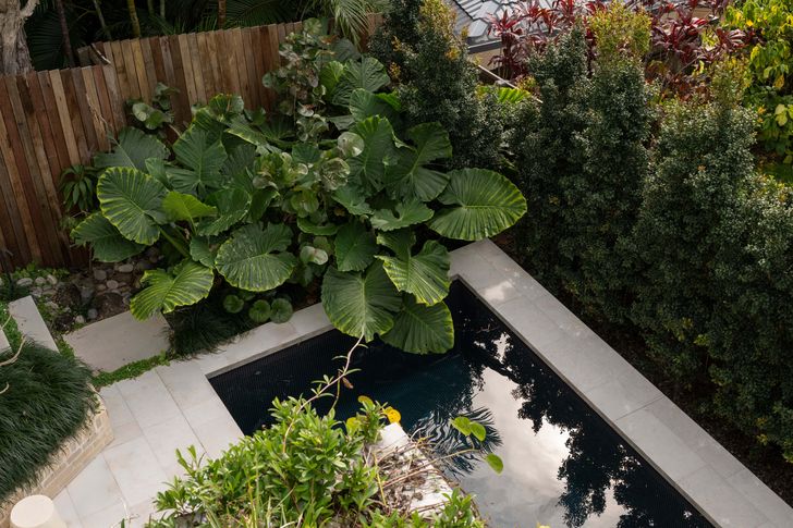 The enclosed pool area serves as a shaded, private sanctuary shielded from external views.